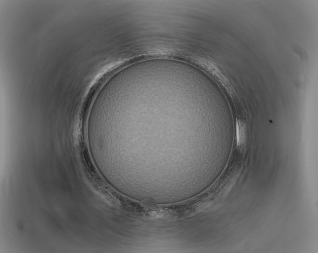 X0000114390579200910161256