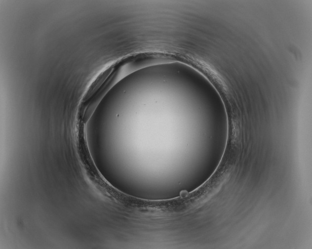 X0000114390580200910161256