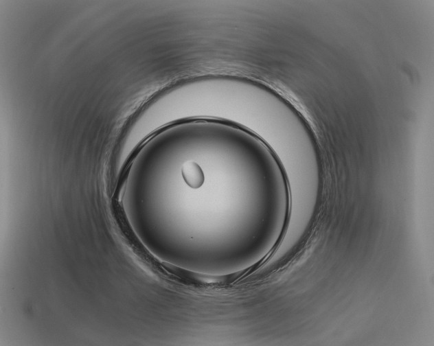 X0000114390581200910161256