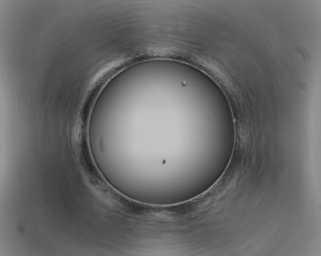 X0000114390583200910161256