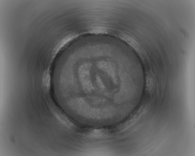 X0000114390584200910161256