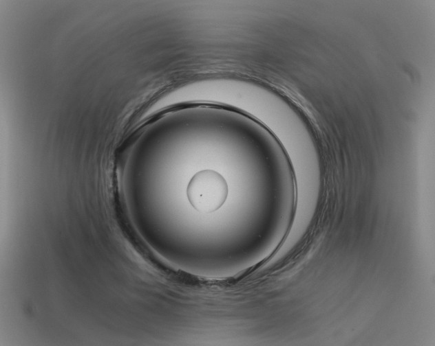 X0000114390585200910161255