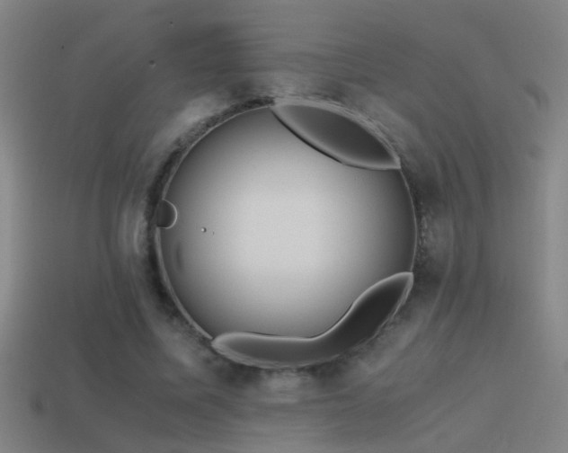 X0000114390587200910161255