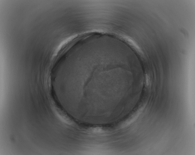 X0000114390588200910161255