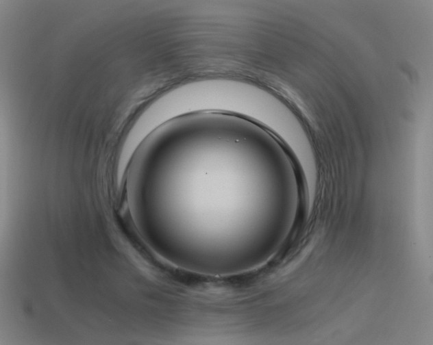 X0000114390589200910161255