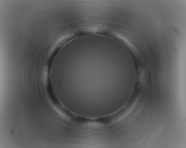 X0000114390590200910161255