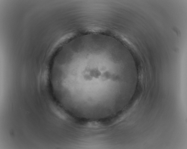 X0000114390591200910161255