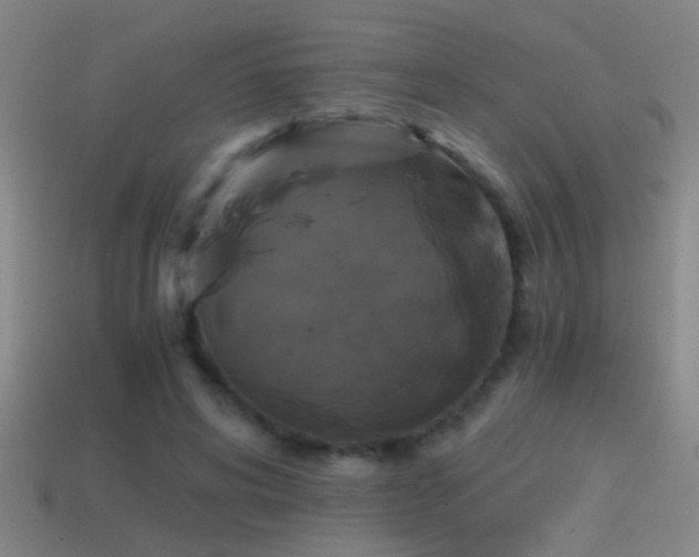 X0000114390592200910161255