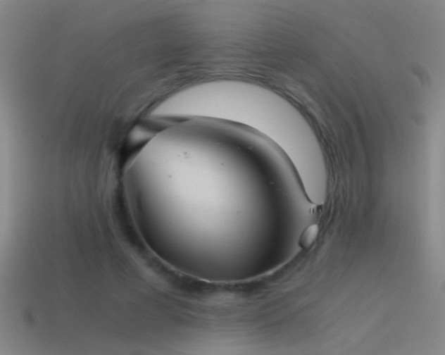 X0000114390593200910161255