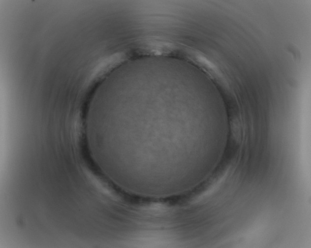 X0000114390594200910161255