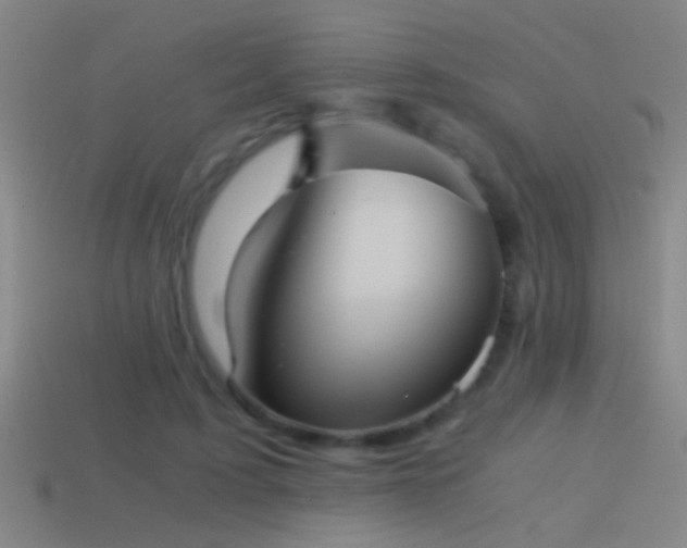 X0000114390595200910161255