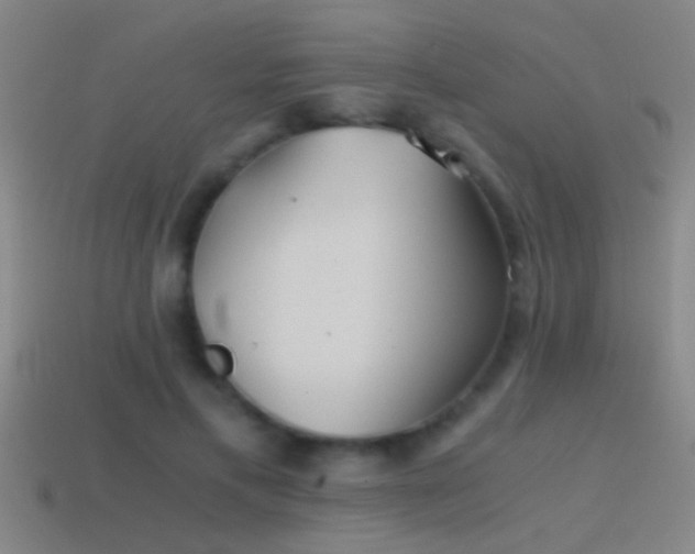 X0000114390597200910161255