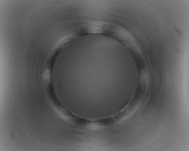 X0000114390598200910161255