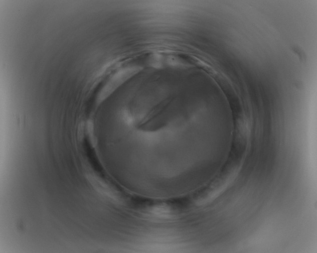 X0000114390600200910161255