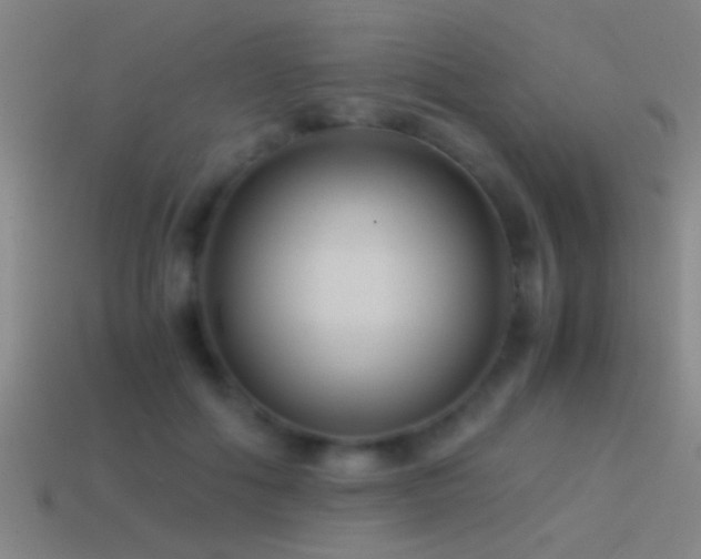 X0000114390602200910161255
