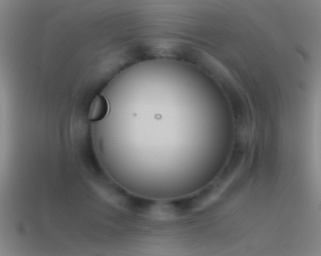 X0000114390603200910161255