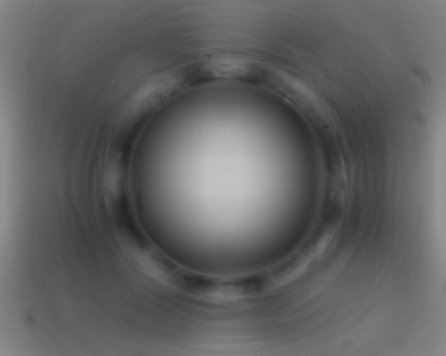 X0000114390604200910161255