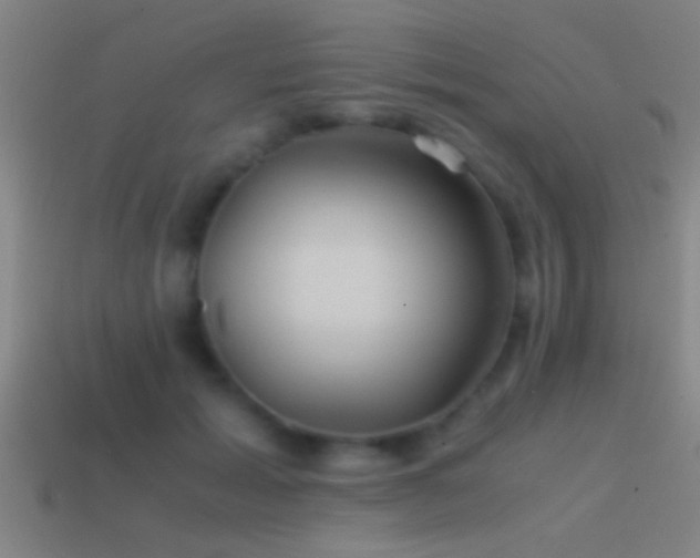 X0000114390605200910161255