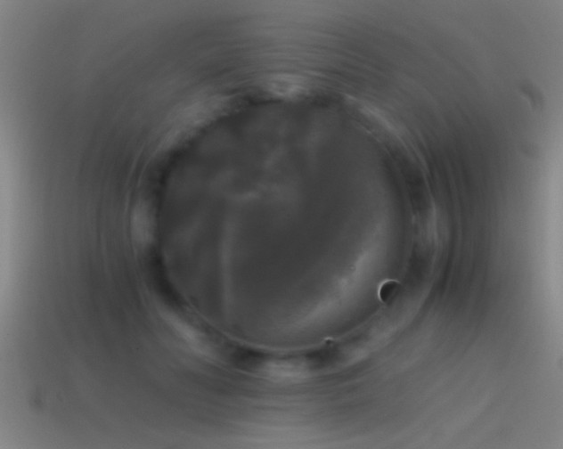 X0000114390606200910161255