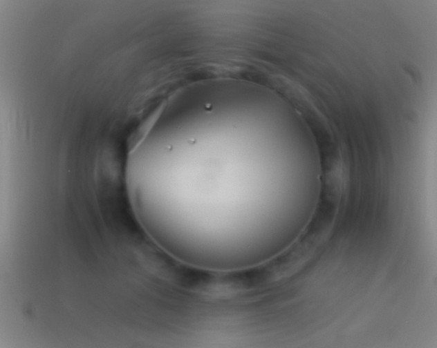 X0000114390608200910161255