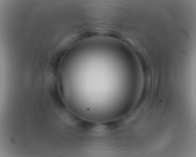 X0000114390609200910161255