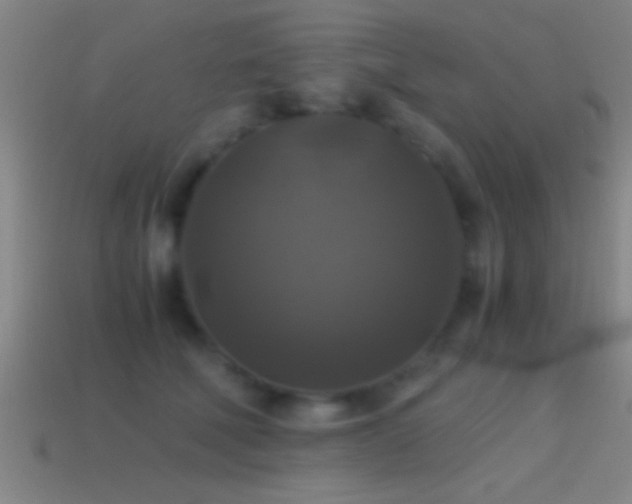 X0000114390610200910161255
