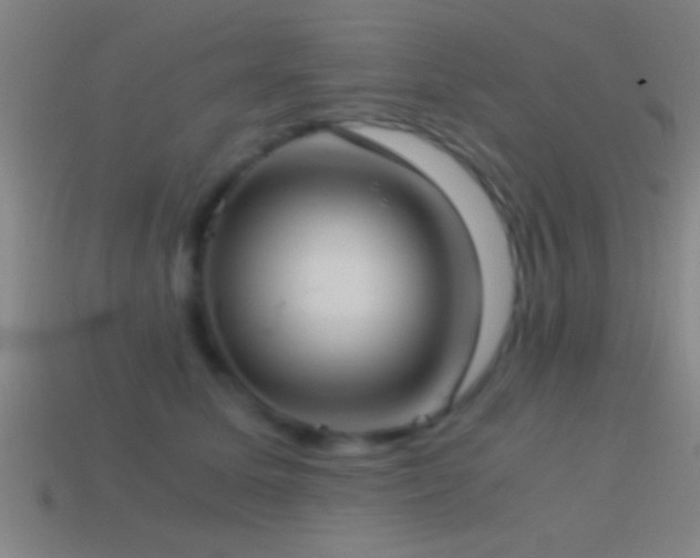 X0000114390611200910161255