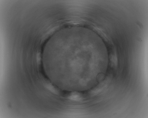 X0000114390612200910161255
