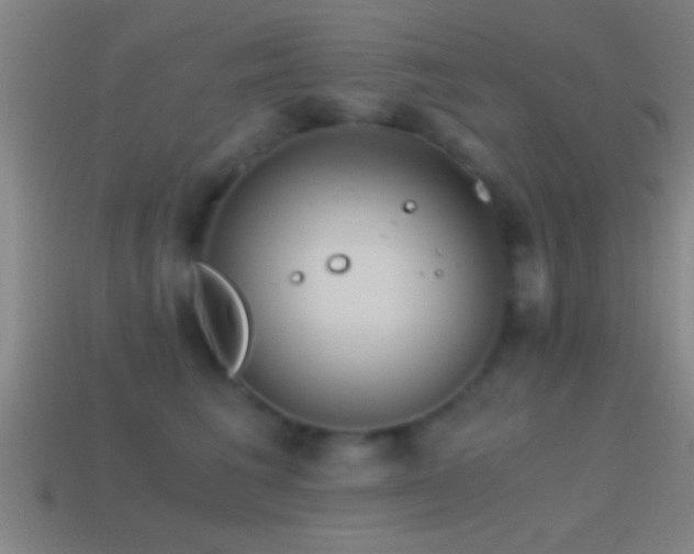 X0000114390613200910161255