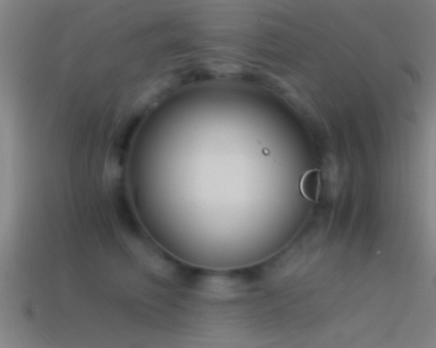 X0000114390614200910161255