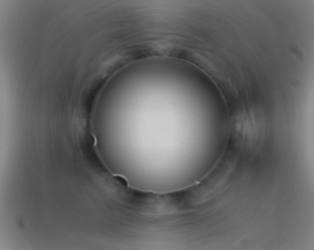 X0000114390615200910161255