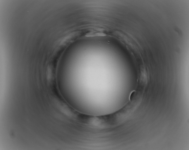 X0000114390616200910161255