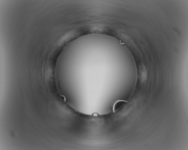 X0000114390619200910161255