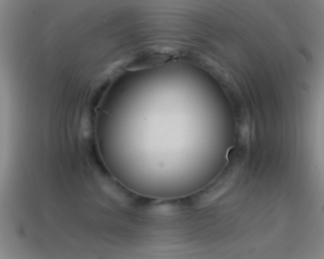 X0000114390620200910161255