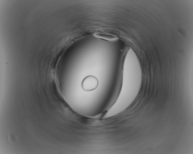 X0000114390621200910161255
