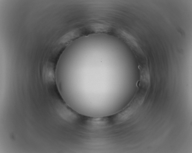 X0000114390622200910161255