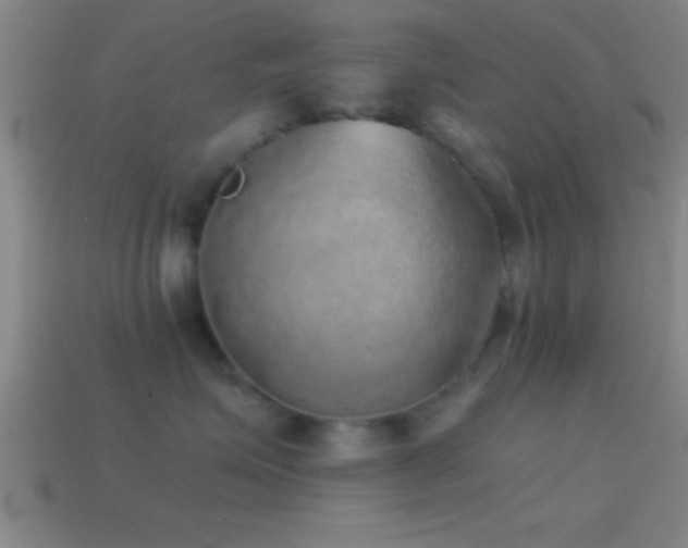 X0000114390623200910161255