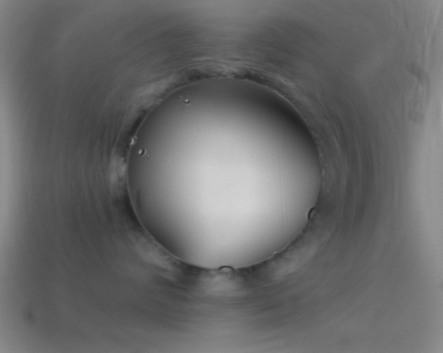 X0000114390624200910161255