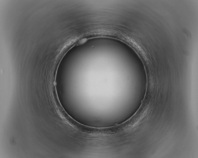 X0000114390625200910161254