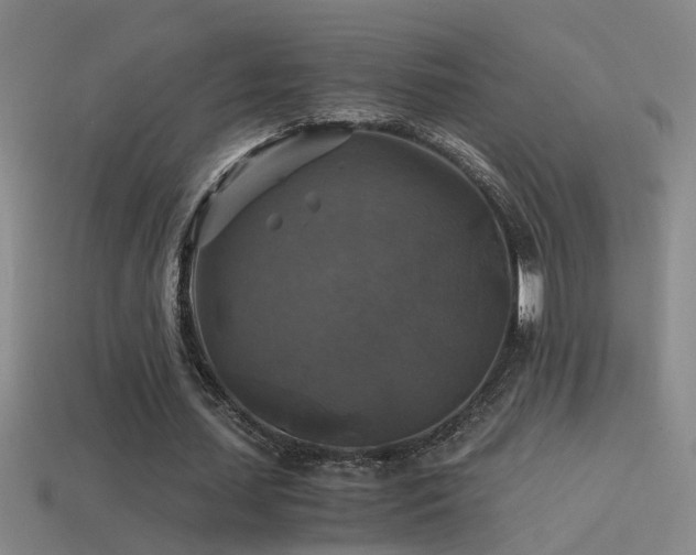 X0000114390627200910161254