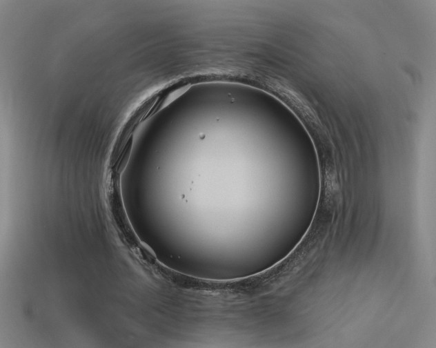 X0000114390628200910161254
