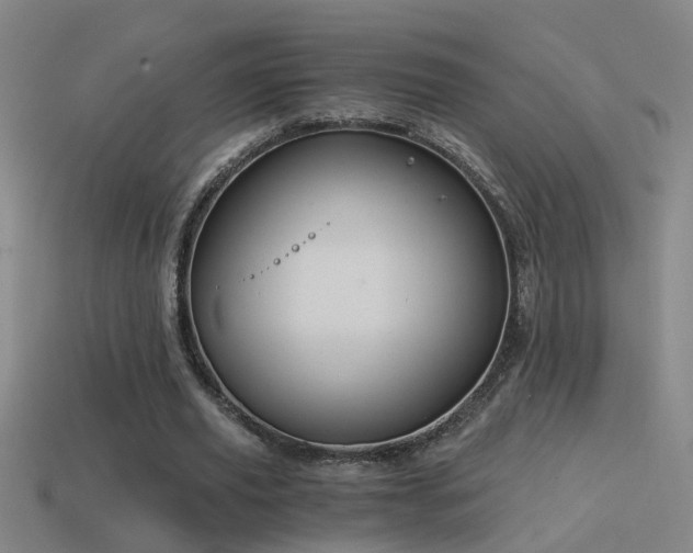 X0000114390629200910161254