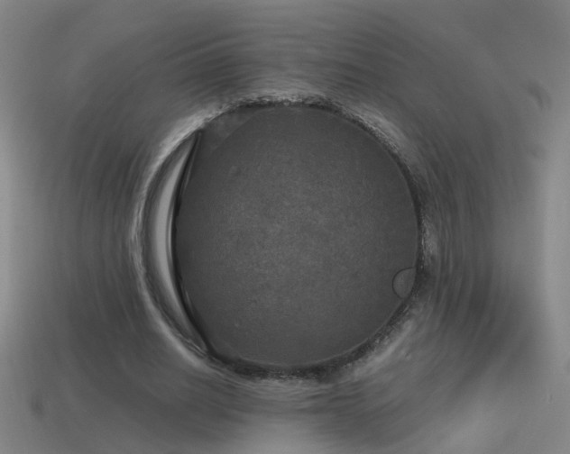 X0000114390630200910161254