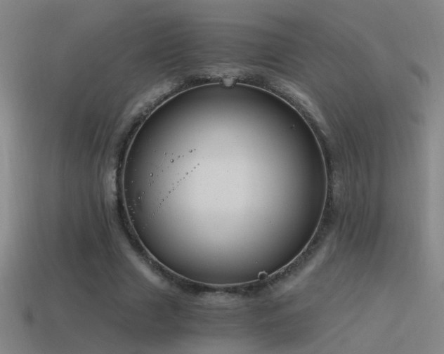 X0000114390633200910161254
