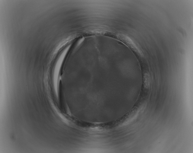 X0000114390634200910161255