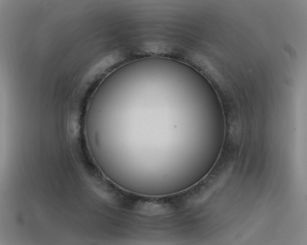 X0000114390635200910161255
