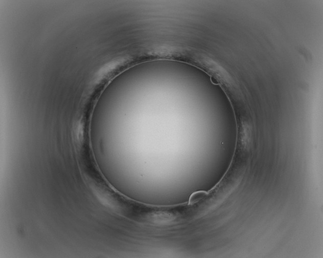 X0000114390636200910161255