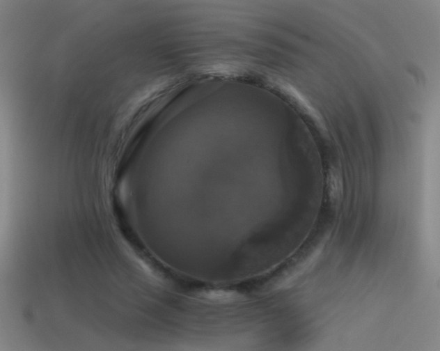 X0000114390637200910161255