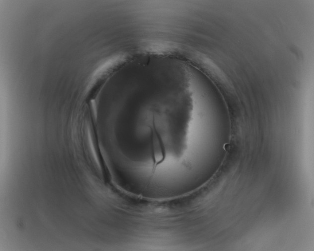 X0000114390640200910161255