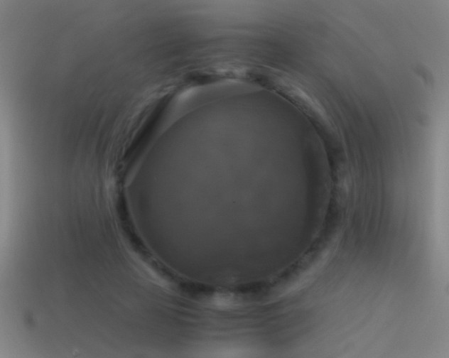 X0000114390641200910161255